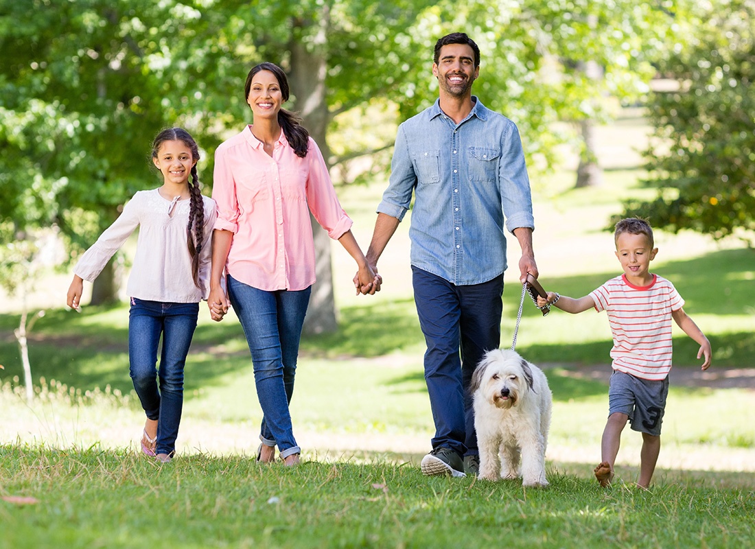 Blog - Happy Family and Their Dog Taking a Walk on Grass at a Park on a Sunny Day